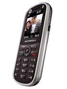 Best available price of Motorola WX288 in Bolivia