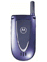 Best available price of Motorola V66i in Bolivia